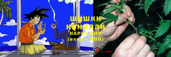 индика Елабуга