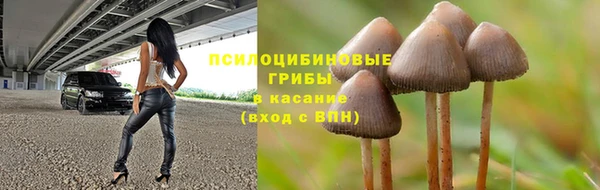 a pvp Елизово