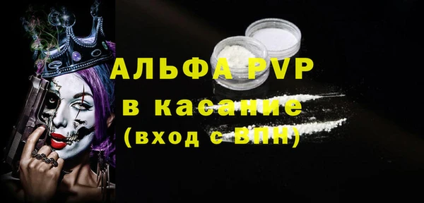 индика Елабуга