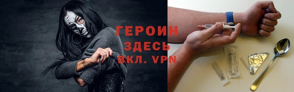 индика Елабуга