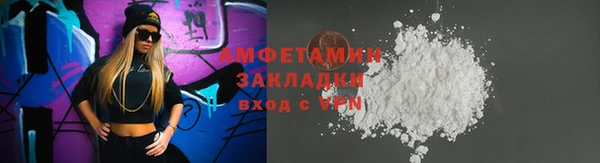 индика Елабуга