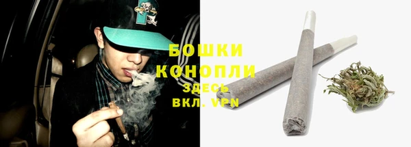 индика Елабуга