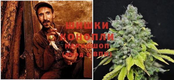 индика Елабуга