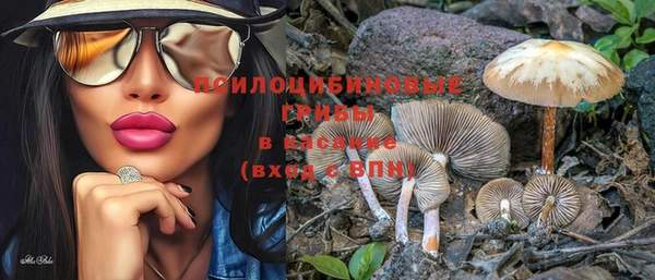 не бодяженный Ельня