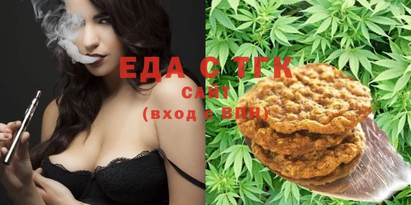 индика Елабуга