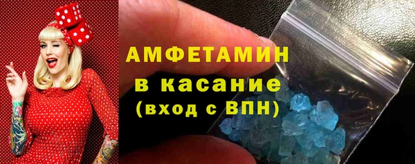 индика Елабуга