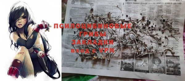 индика Елабуга