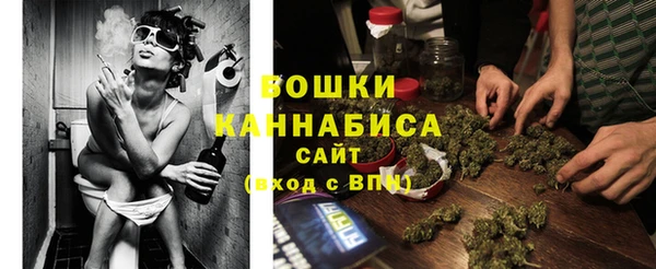 индика Елабуга