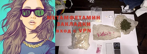 индика Елабуга