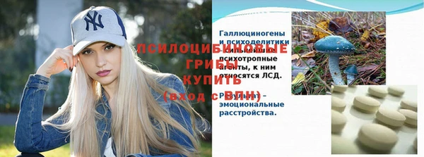 индика Елабуга