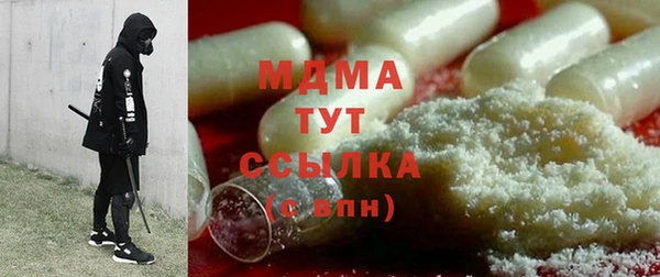 индика Елабуга