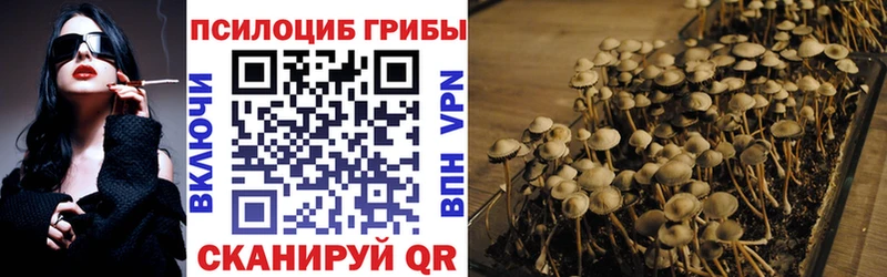 Купить  Нерехта  Галлюциногенные грибы Magic Shrooms 